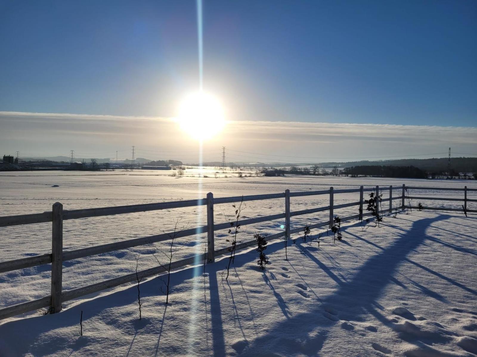 Domek Na Pagorku Lwowek Slaski Exteriér fotografie